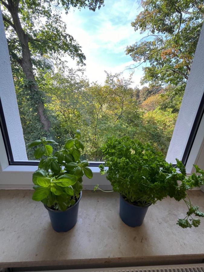 Moderne Wohlfuehl-Wohnung In Troisdorf Altenrath Dış mekan fotoğraf