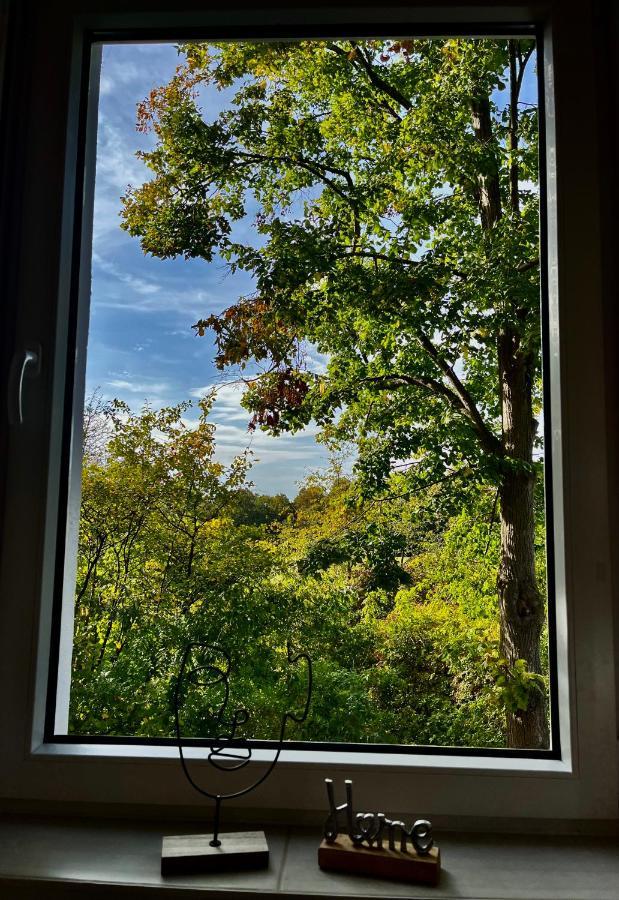 Moderne Wohlfuehl-Wohnung In Troisdorf Altenrath Dış mekan fotoğraf